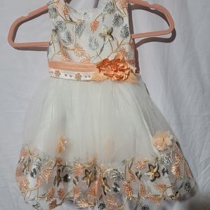 Beautiful toddler dress